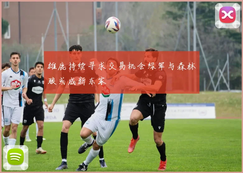 雄鹿持续寻求交易机会绿军与森林狼或成新东家